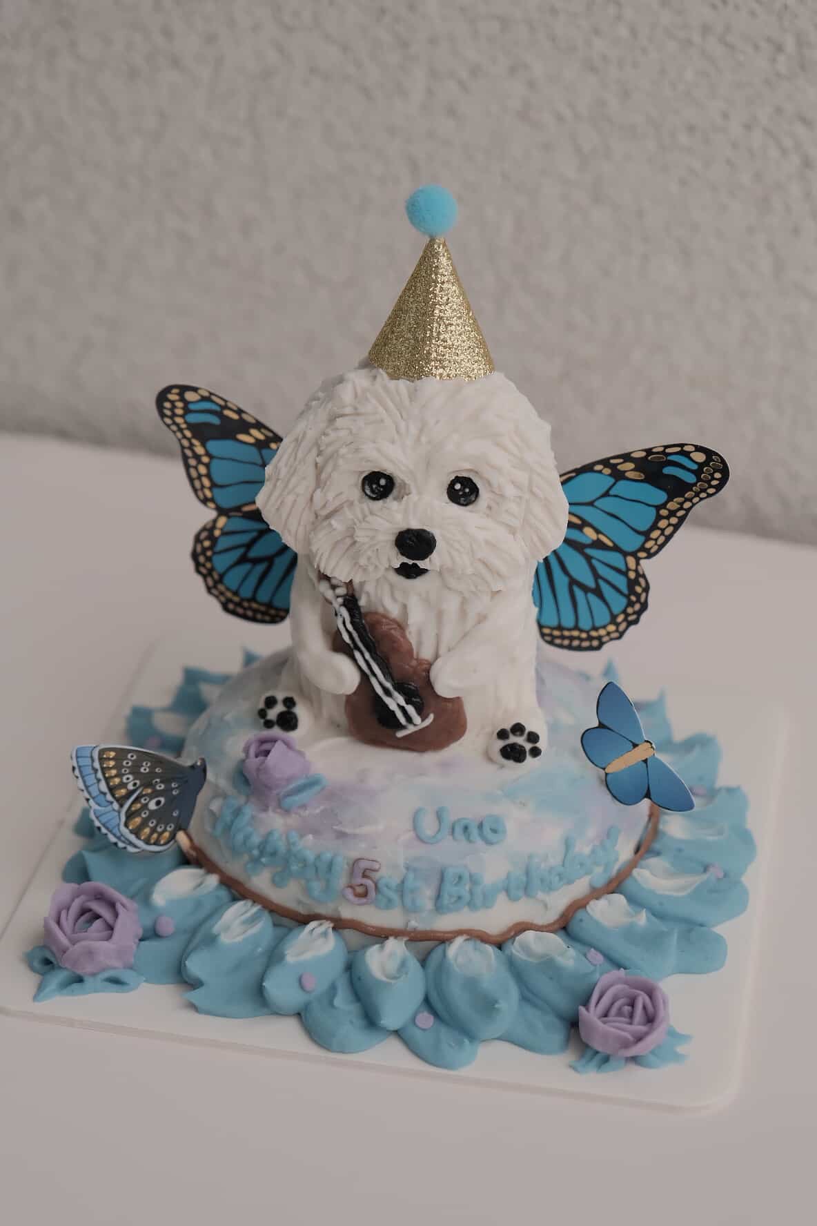 41. Flutter & Fluff π¦
