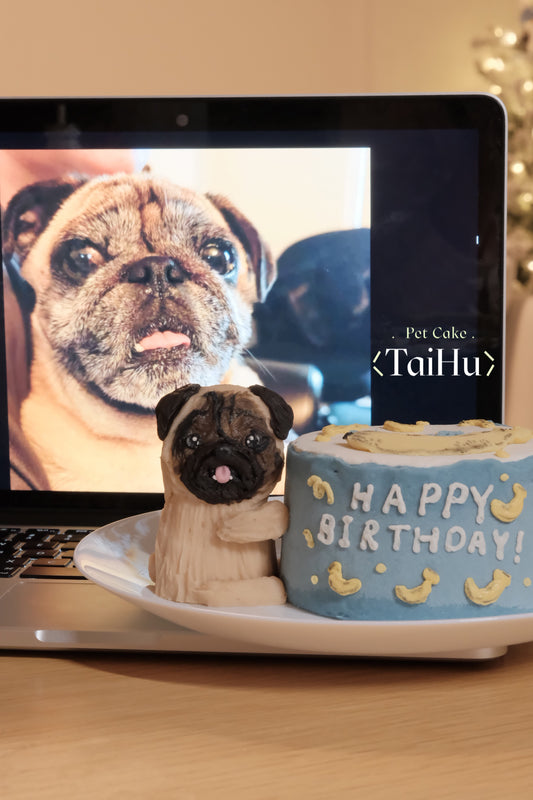 08. 3D Full Body Korean Style