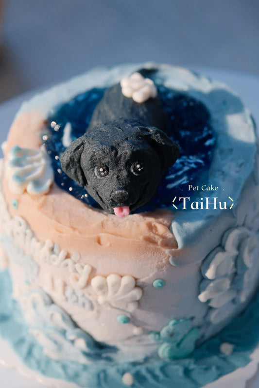 14. Heart of the Ocean