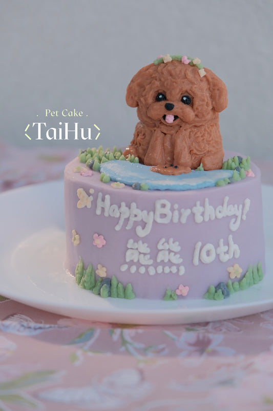 12. Reflection in Water