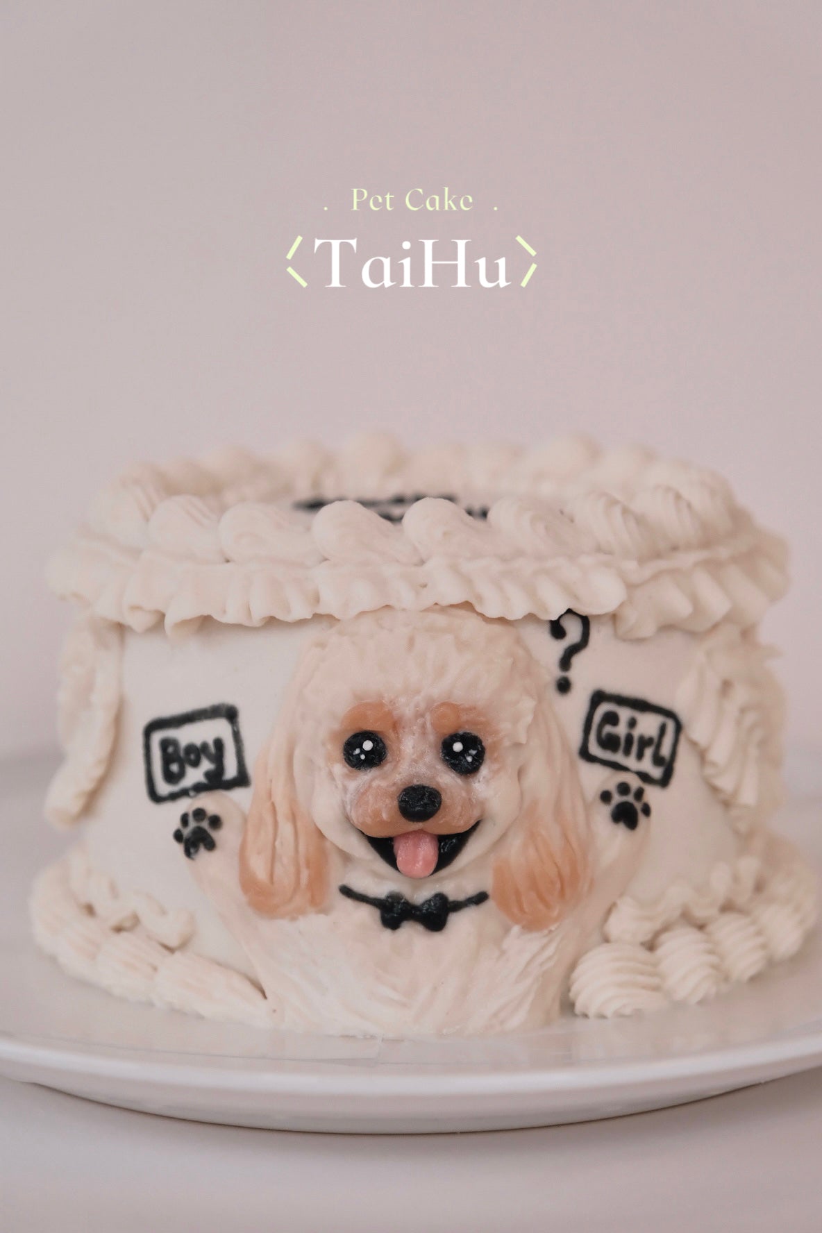 36. Gender Reveal Pet Cake