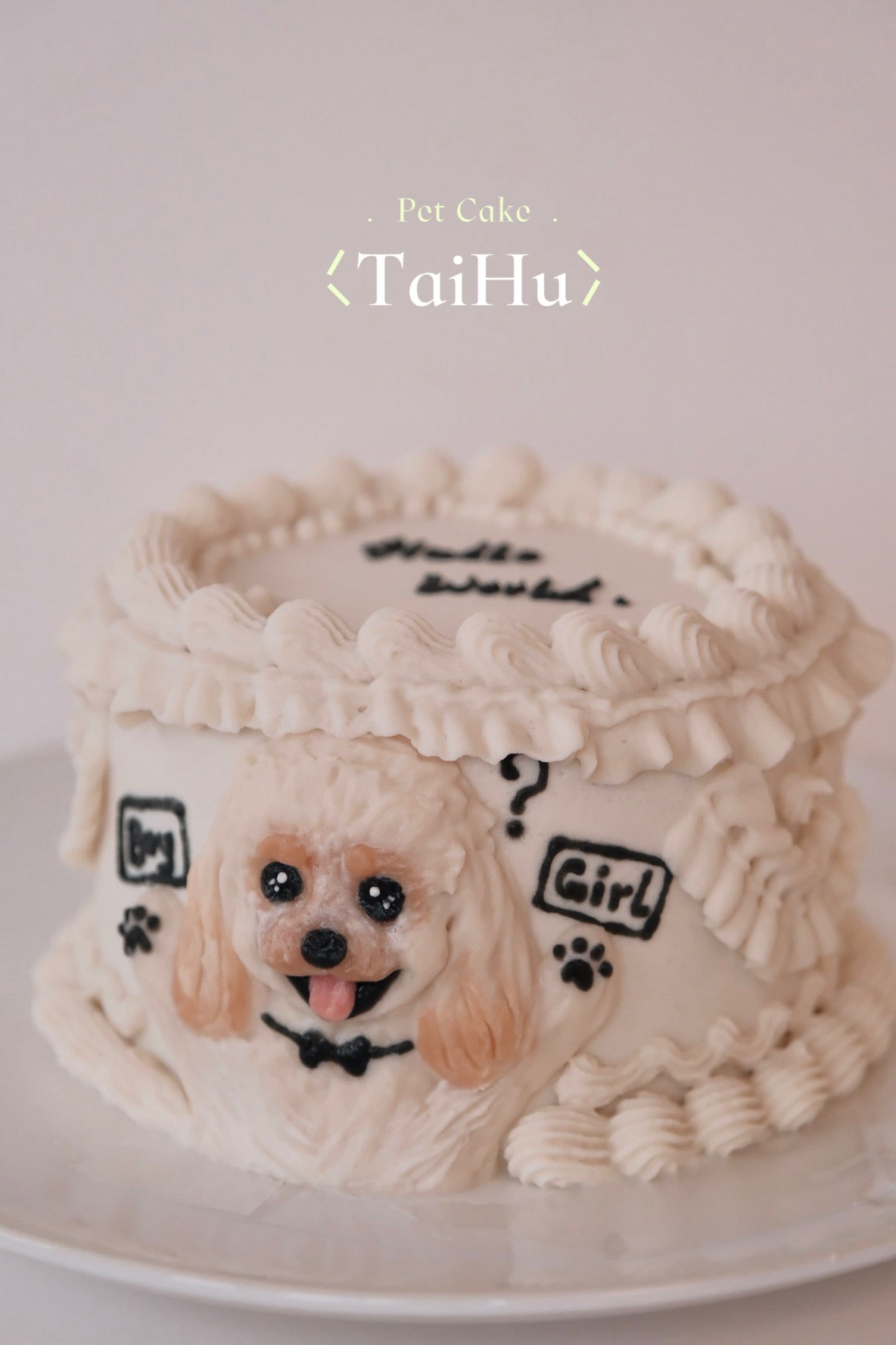 36. Gender Reveal Pet Cake