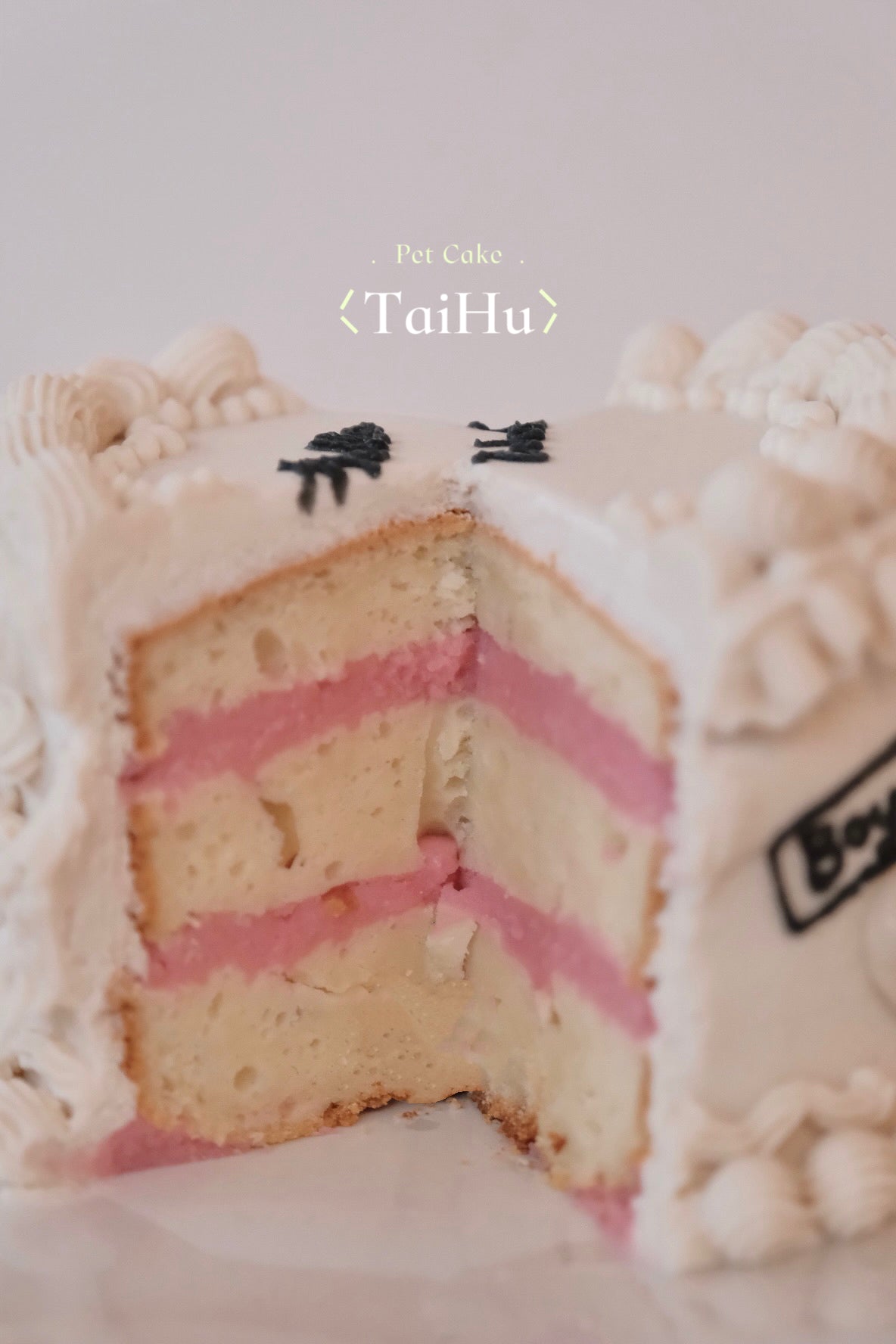 36. Gender Reveal Pet Cake
