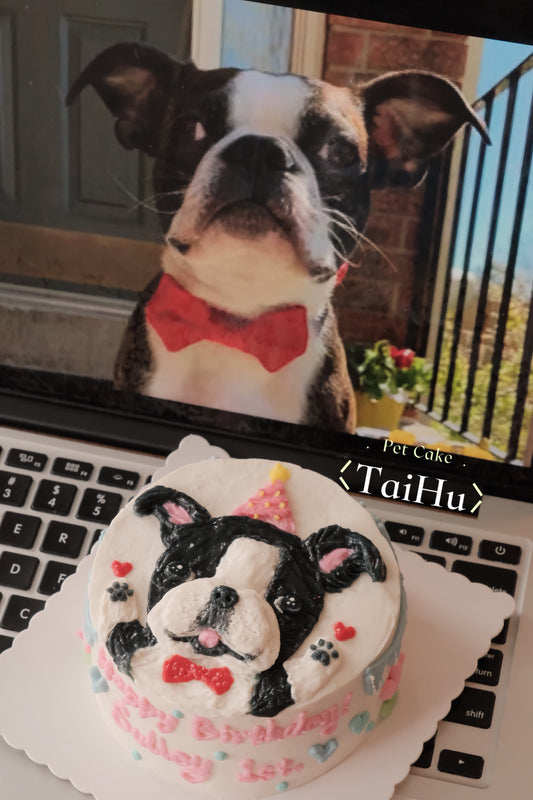 11. Hello Woof